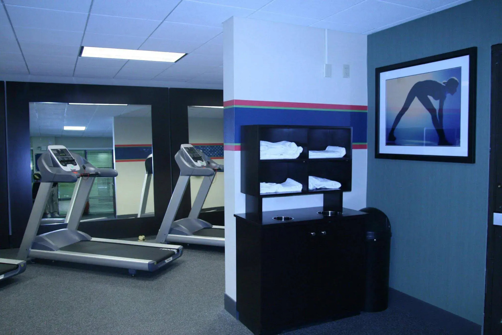 Hampton Inn Roanoke/Hollins - I-81