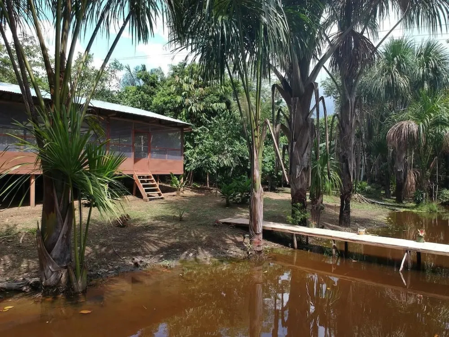 Friends of The Amazon Jungle Lodge