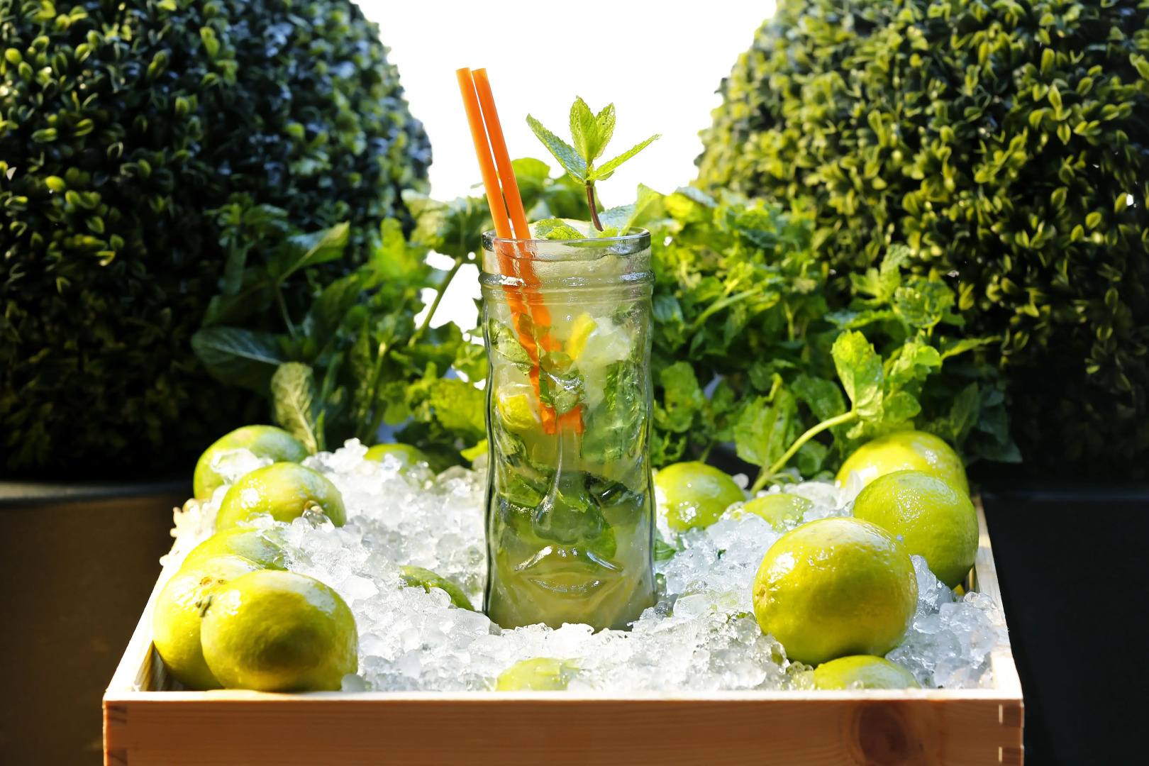 Negrecoste Hotel & Spa