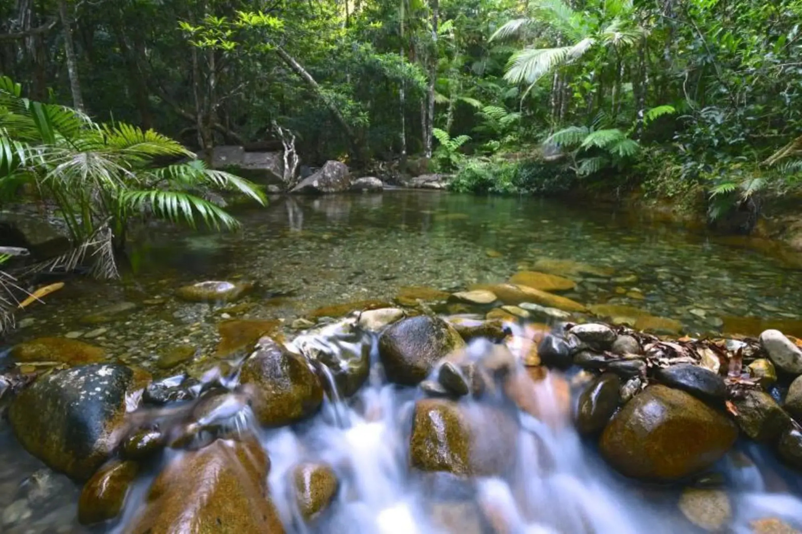 Daintree Cascades