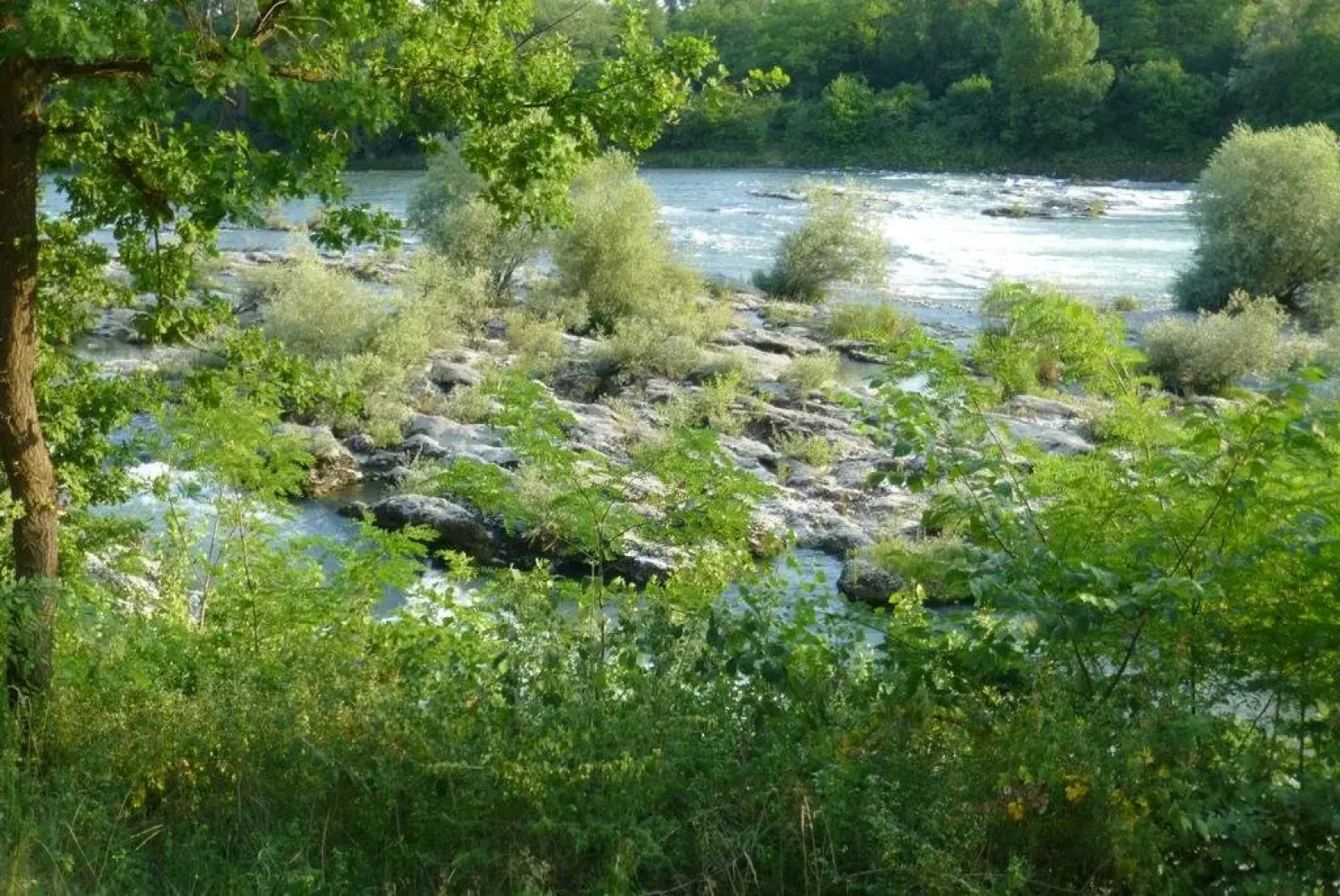 Landgasthof Rebstock Egringen