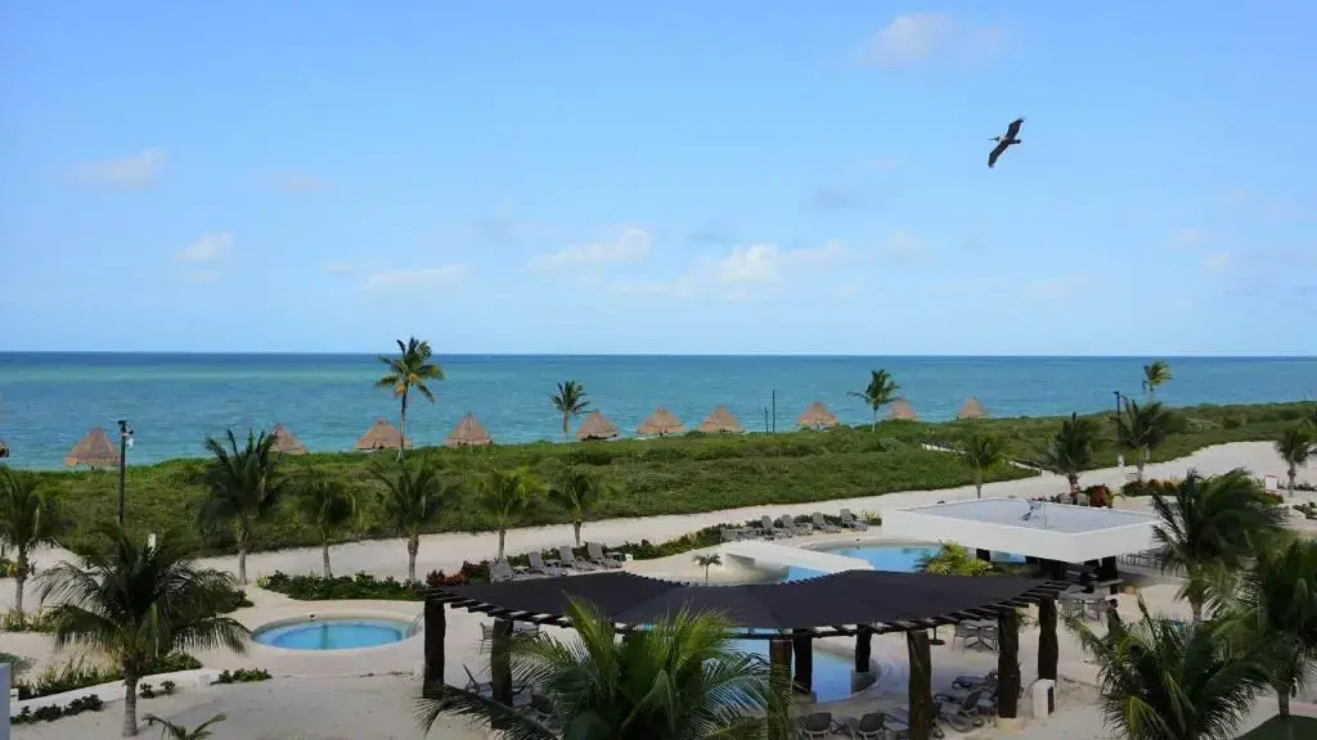 Playa, Selva, Cenotes, Ruinas, Marina todo a 5 km