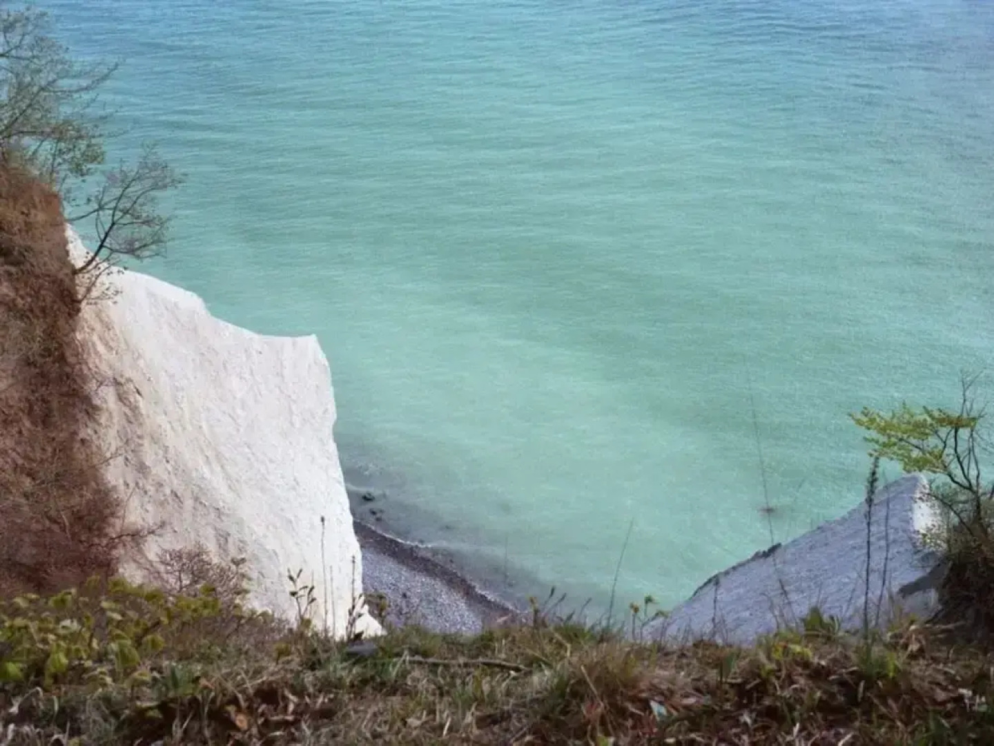 Seeschwalbe in Villa Sirene, Binz