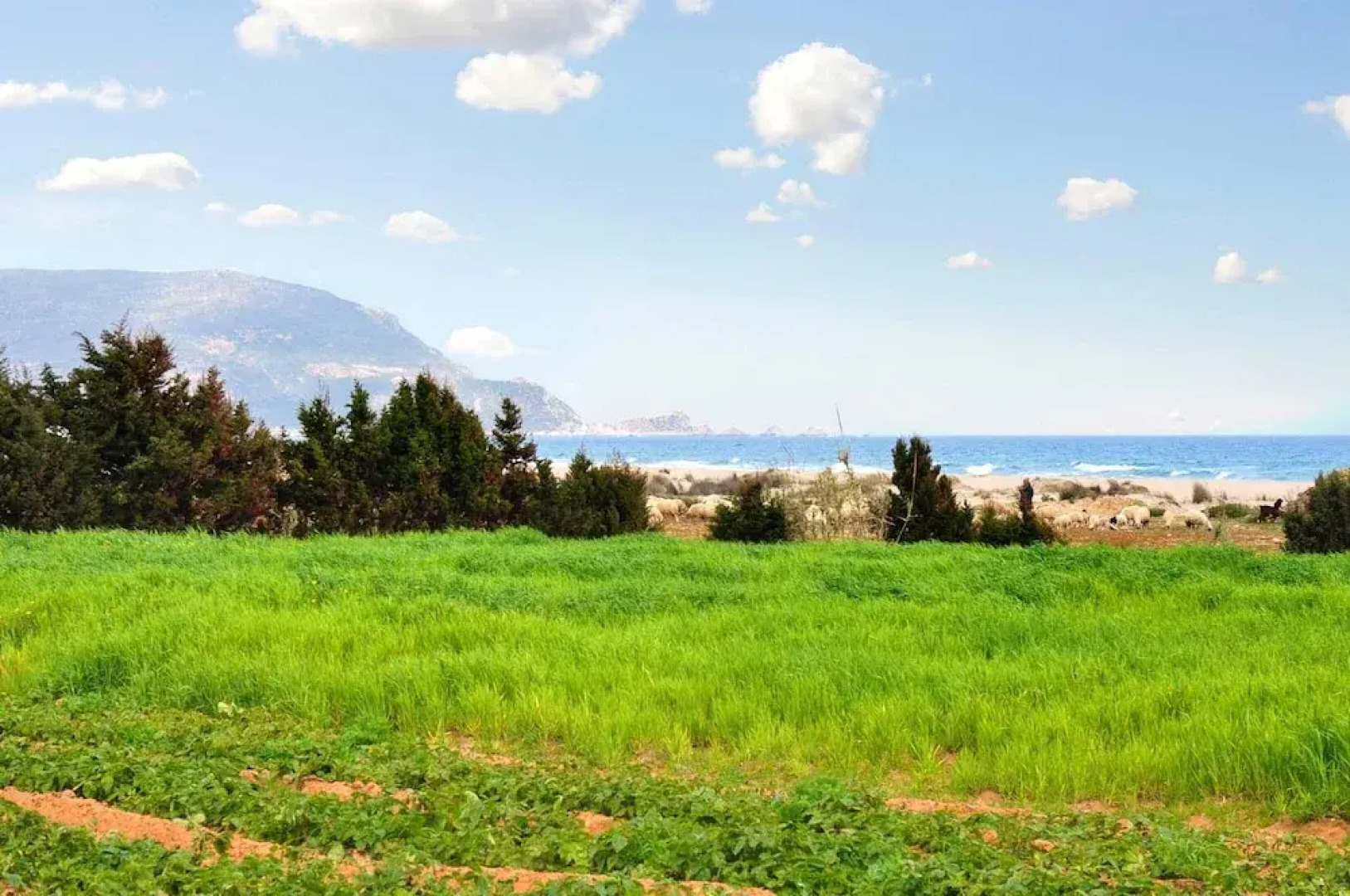 Villa With 4 Bedrooms in Kelibia, With Wonderful sea View, Enclosed Ga