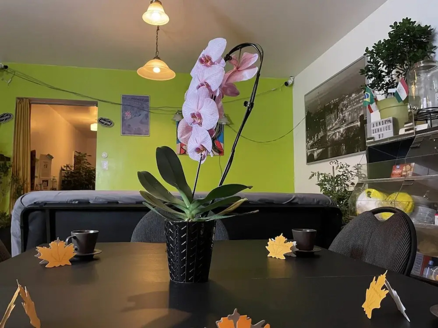 Pied-A-Terre Mont-Royal