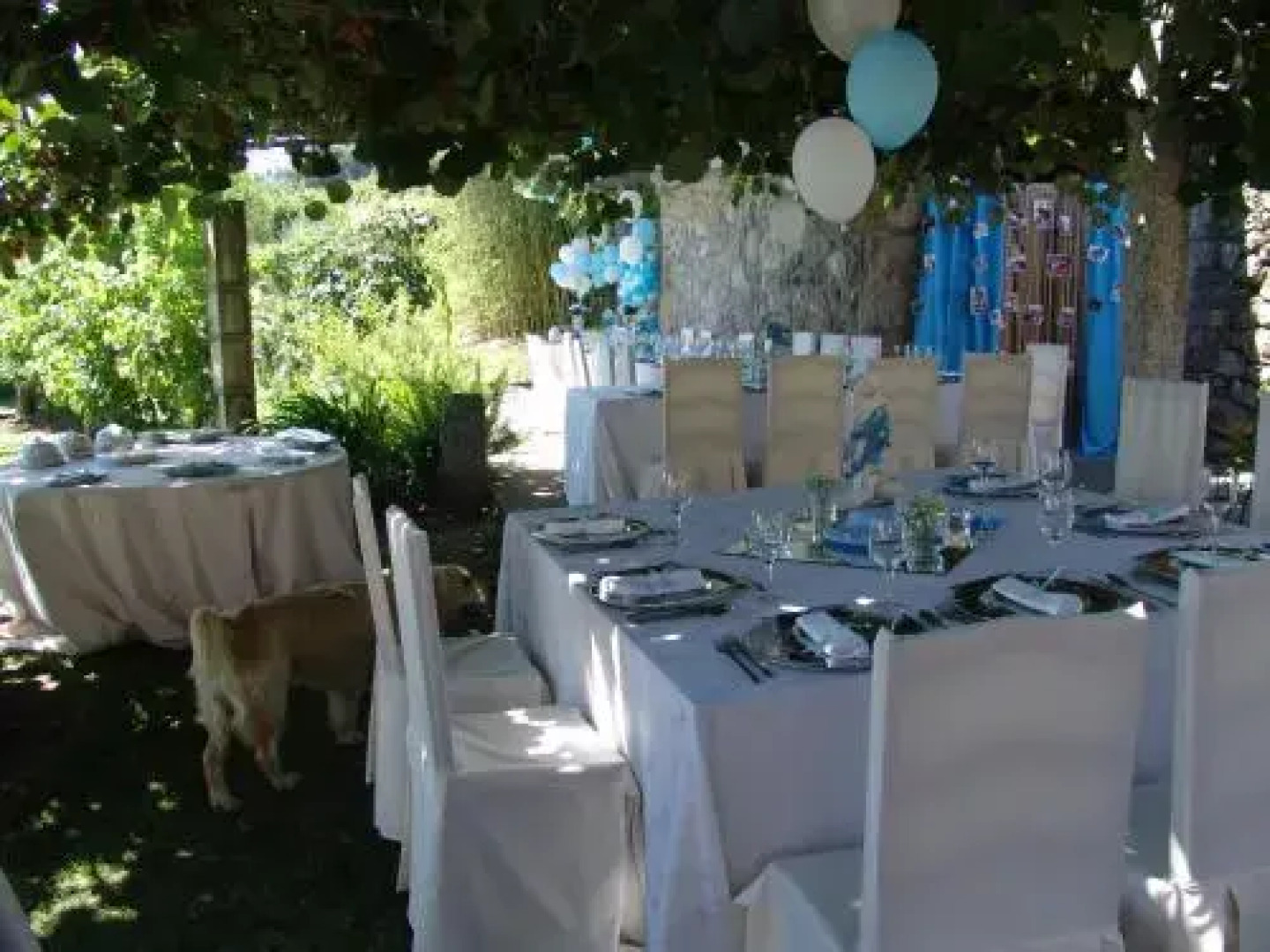 Quinta de Santa Marinha