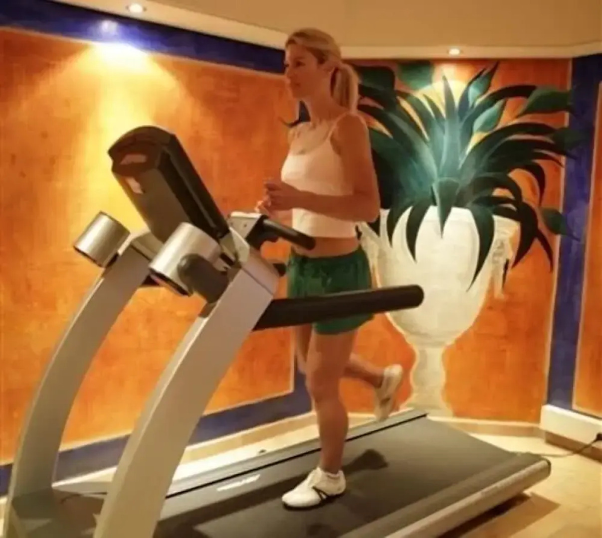 Restaurant Hotel Merlet