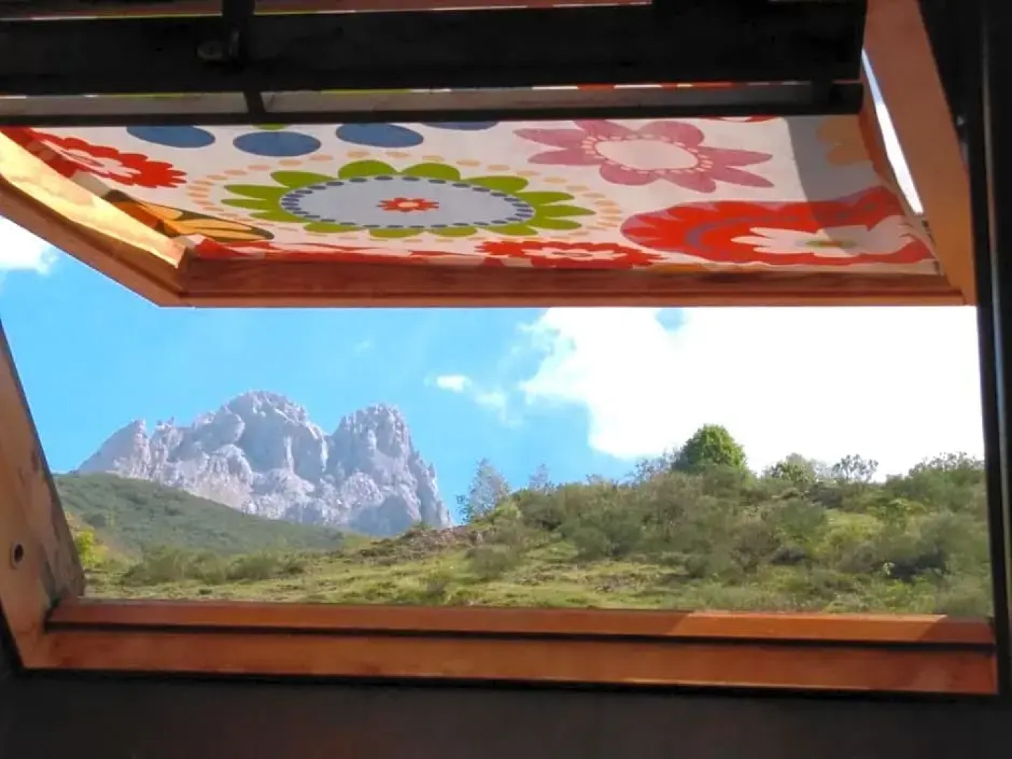 Refugio La Ardilla Real