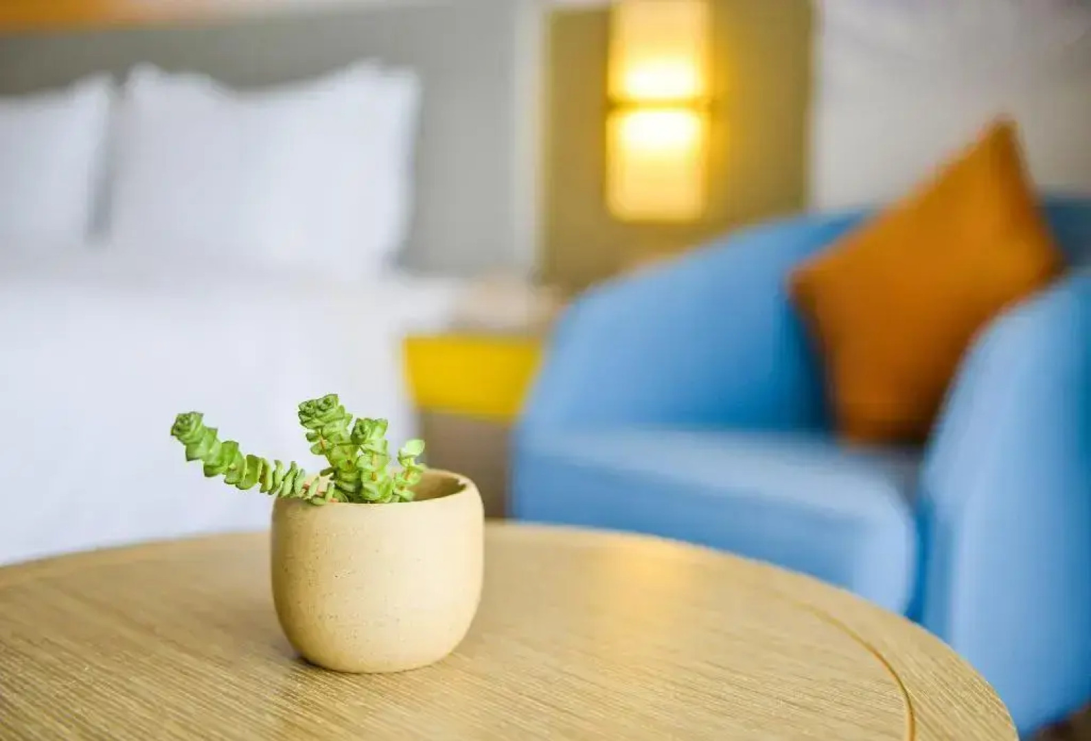 Holiday Inn Express Lhasa Potala Palace by IHG