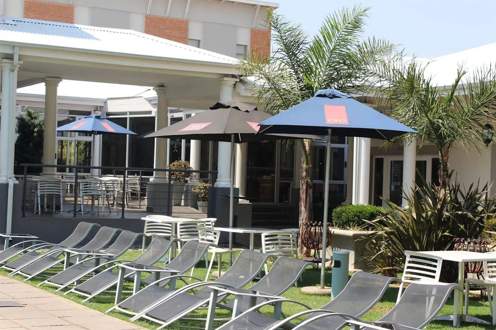 Life Hotel - The Aviator