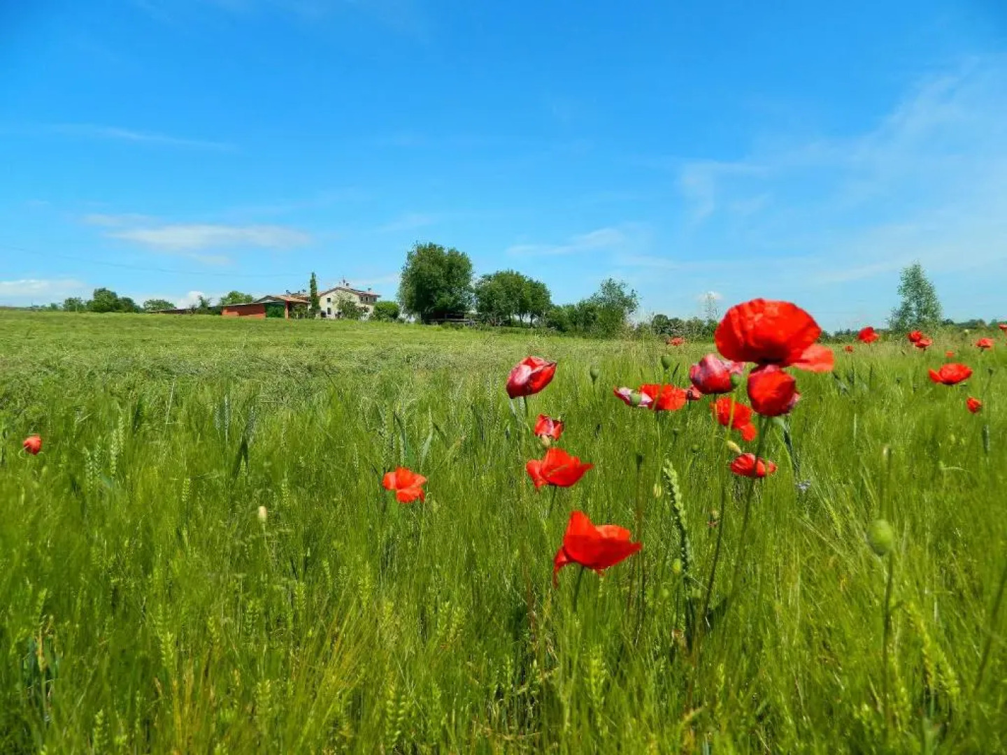 Al Torcol Agriturismo