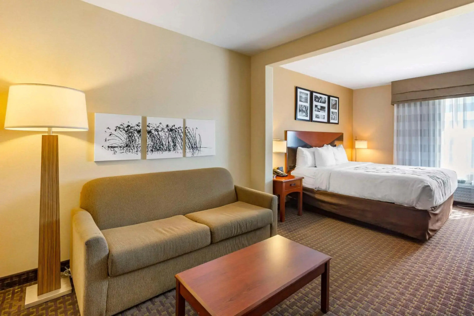 Garner Hotel Idaho Falls Southwest by IHG