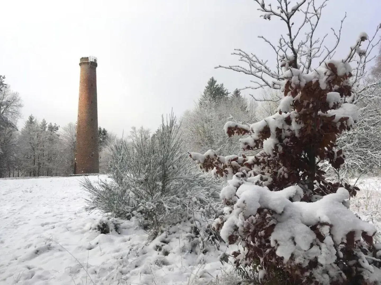 Appartement Les Tilleuls "3 étoiles"