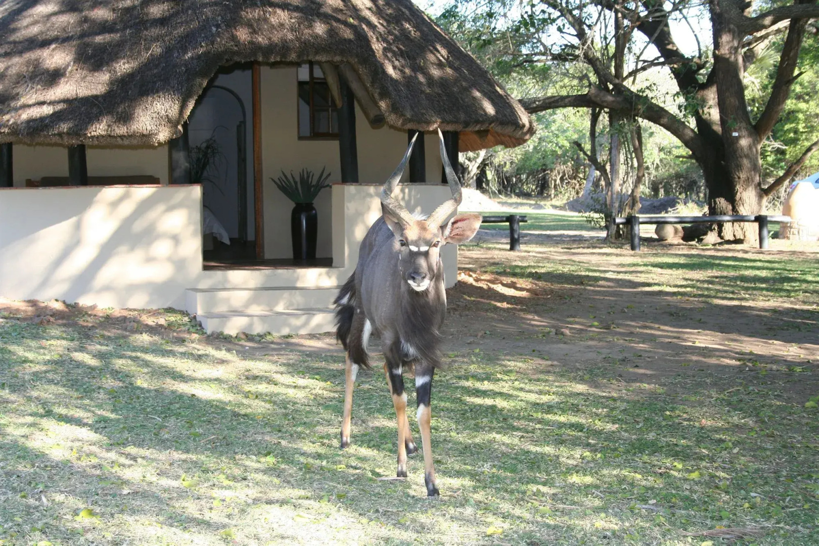 Bonamanzi Game Reserve