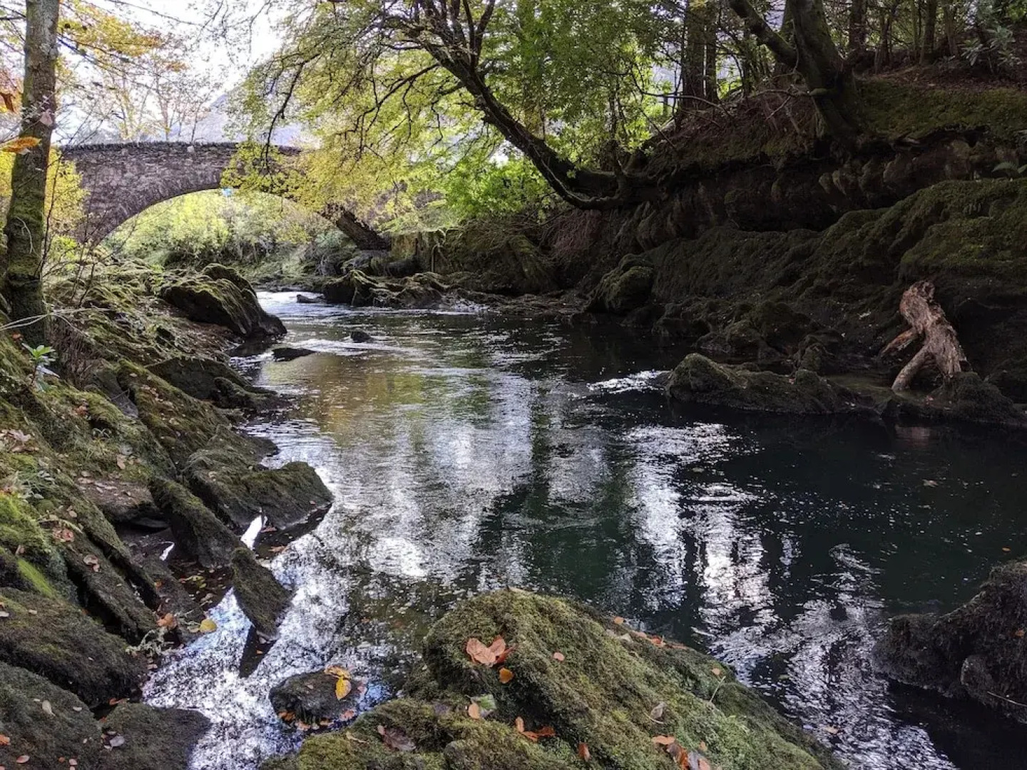 Strath Lodge Glencoe