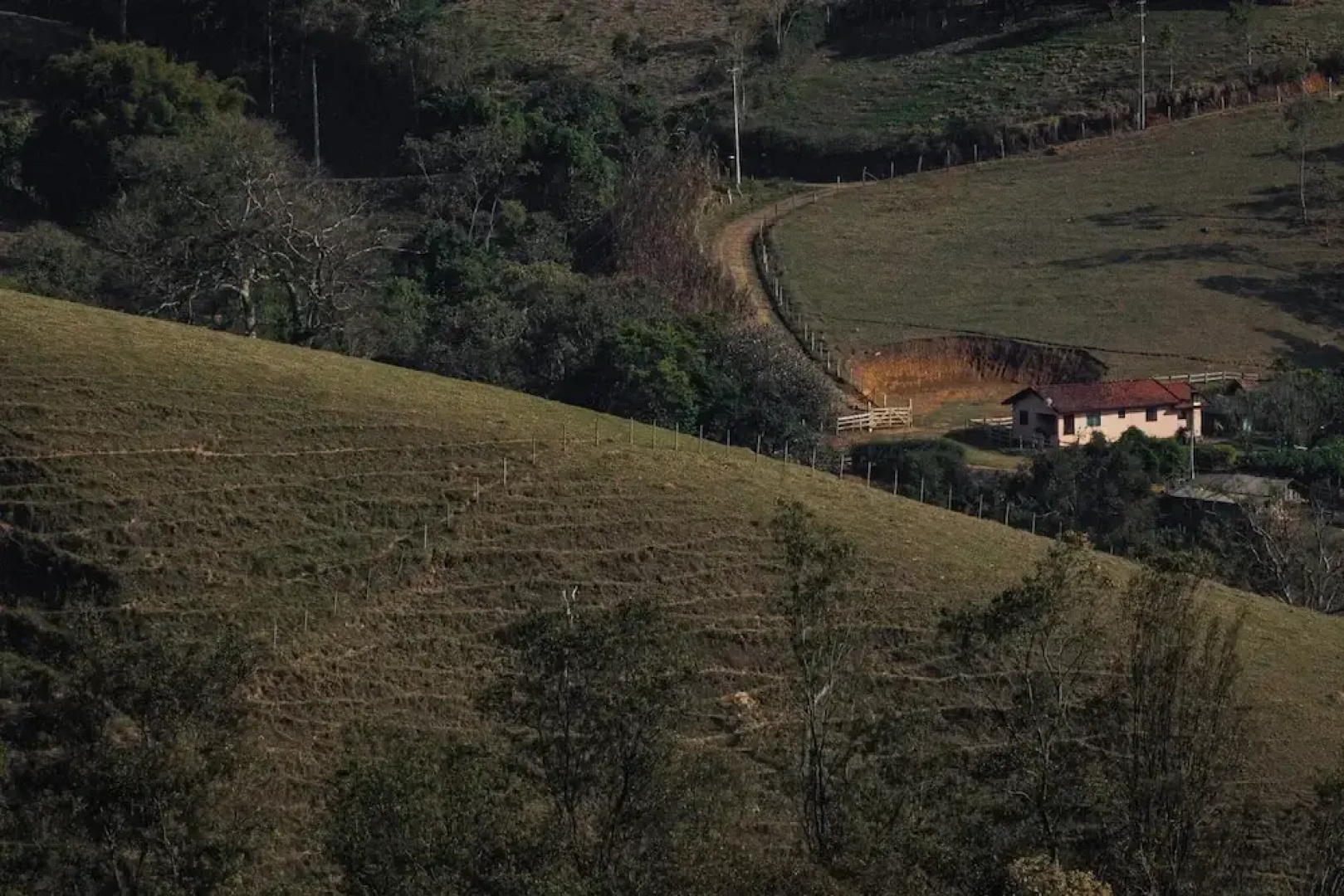 Pousada Terra dos Pássaros