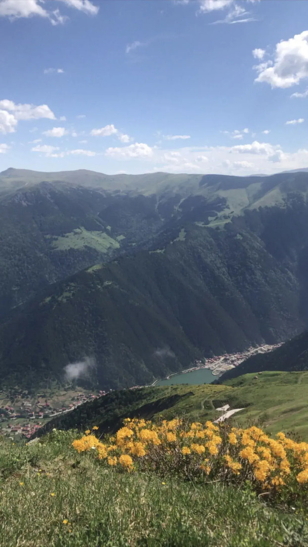 Karester Villa Apart