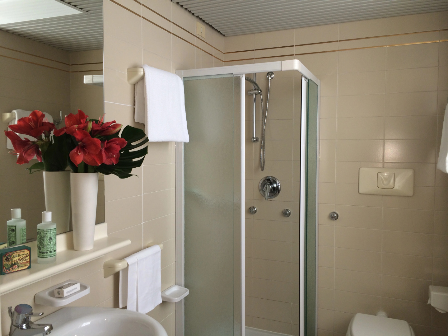 Starhotels Cristallo Palace