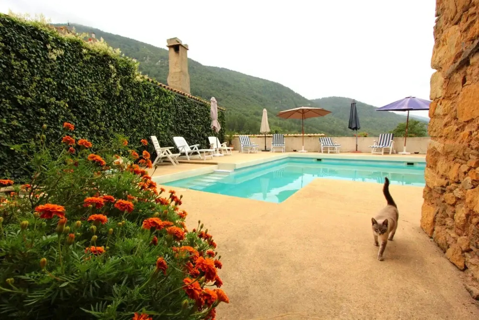 Le Jardin de la Sals (l'écluse au soleil)