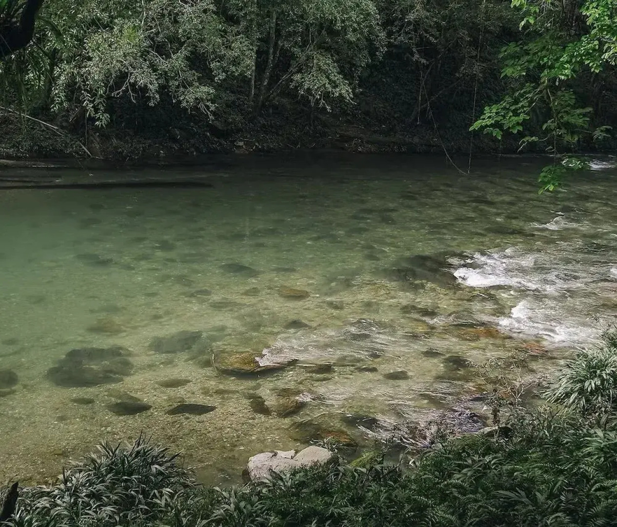 Los Colores Ecoparque