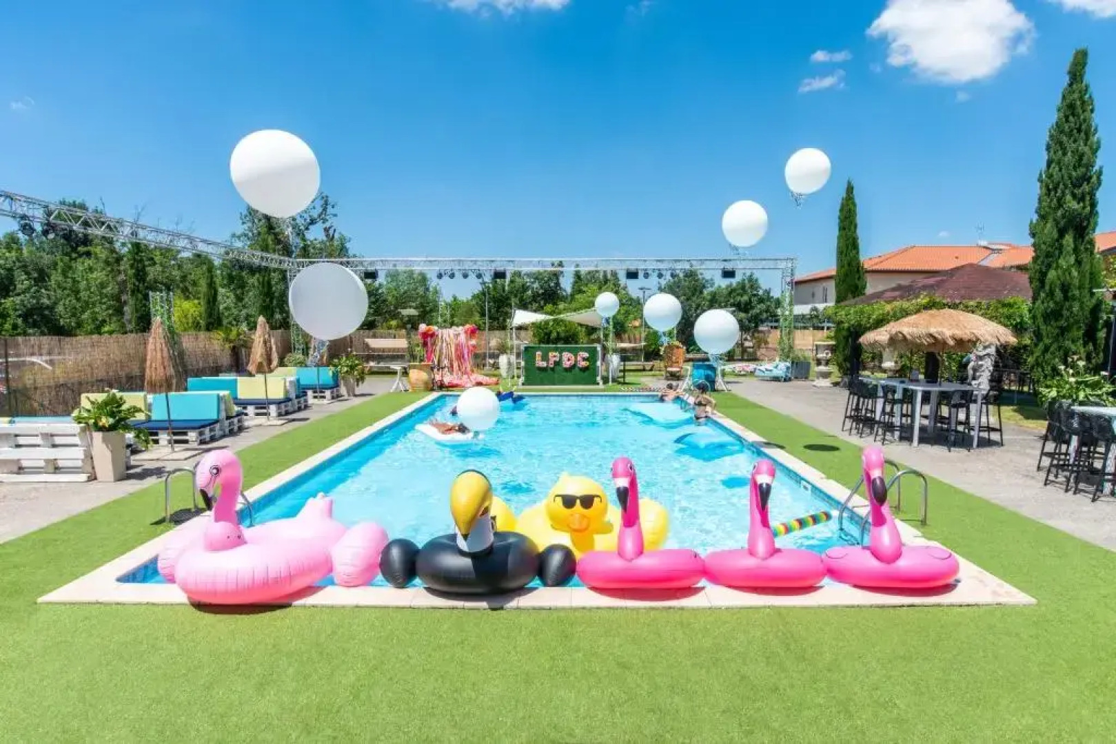 Le Canard Sur Le Toit