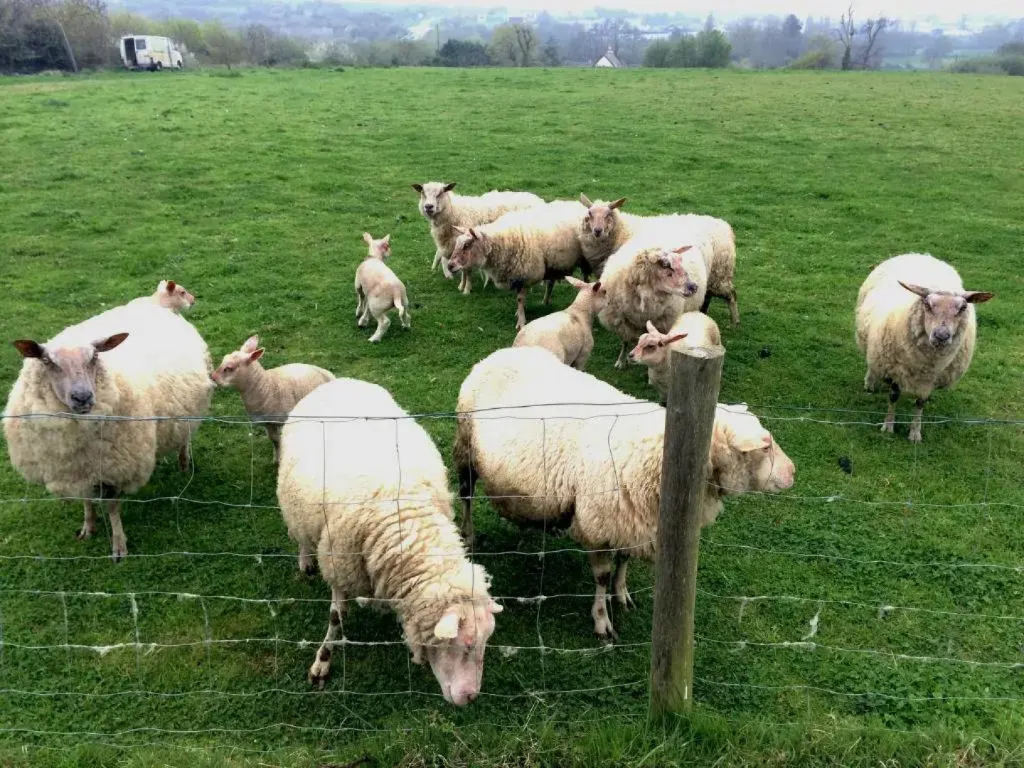 Gîtes Du Manoir Du Haut Salmon