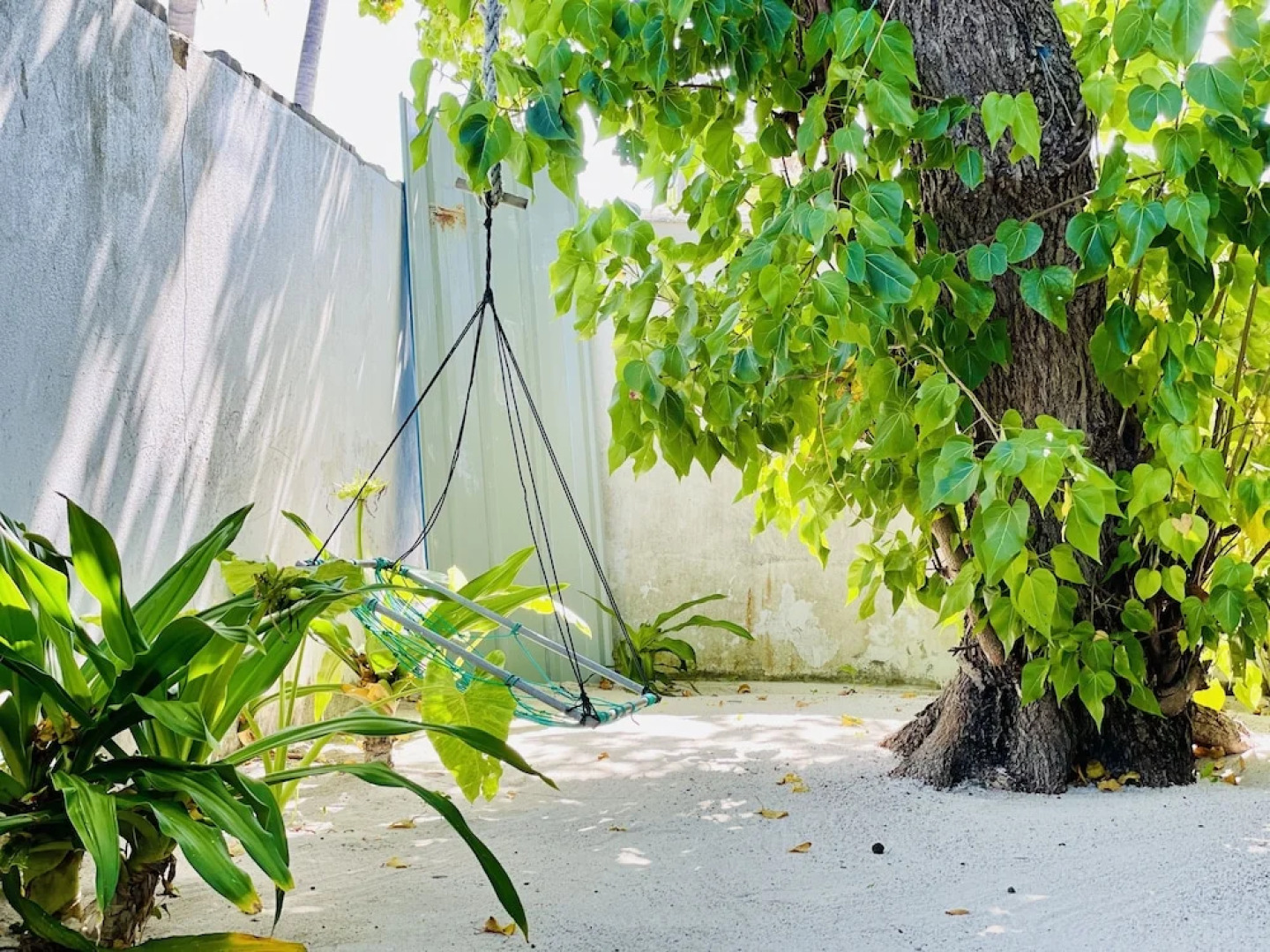 Madi Finolhu Guesthouse