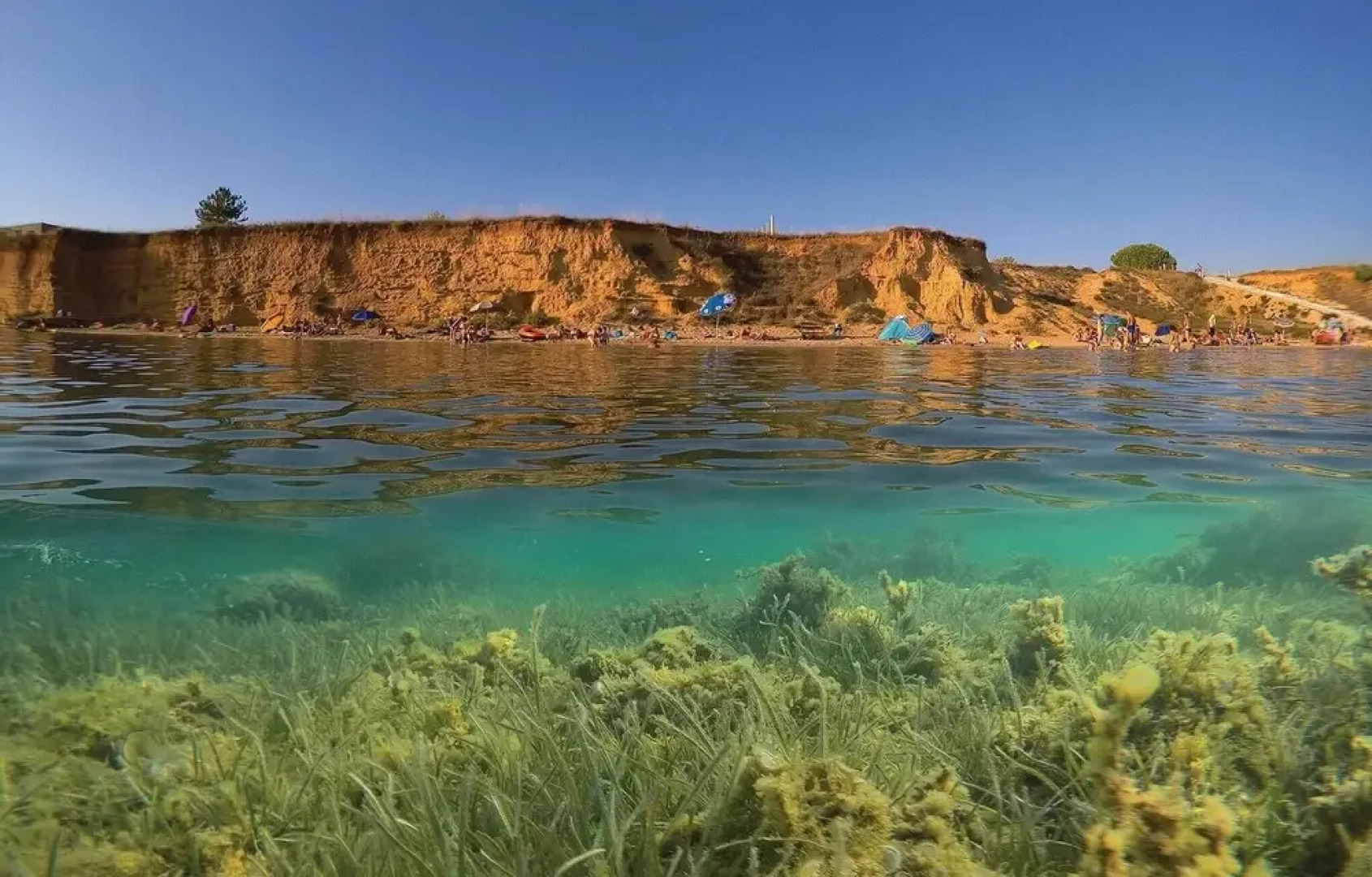 Amazing Home in Privlaka With 3 Bedrooms, Wifi and Heated Swimming Pool