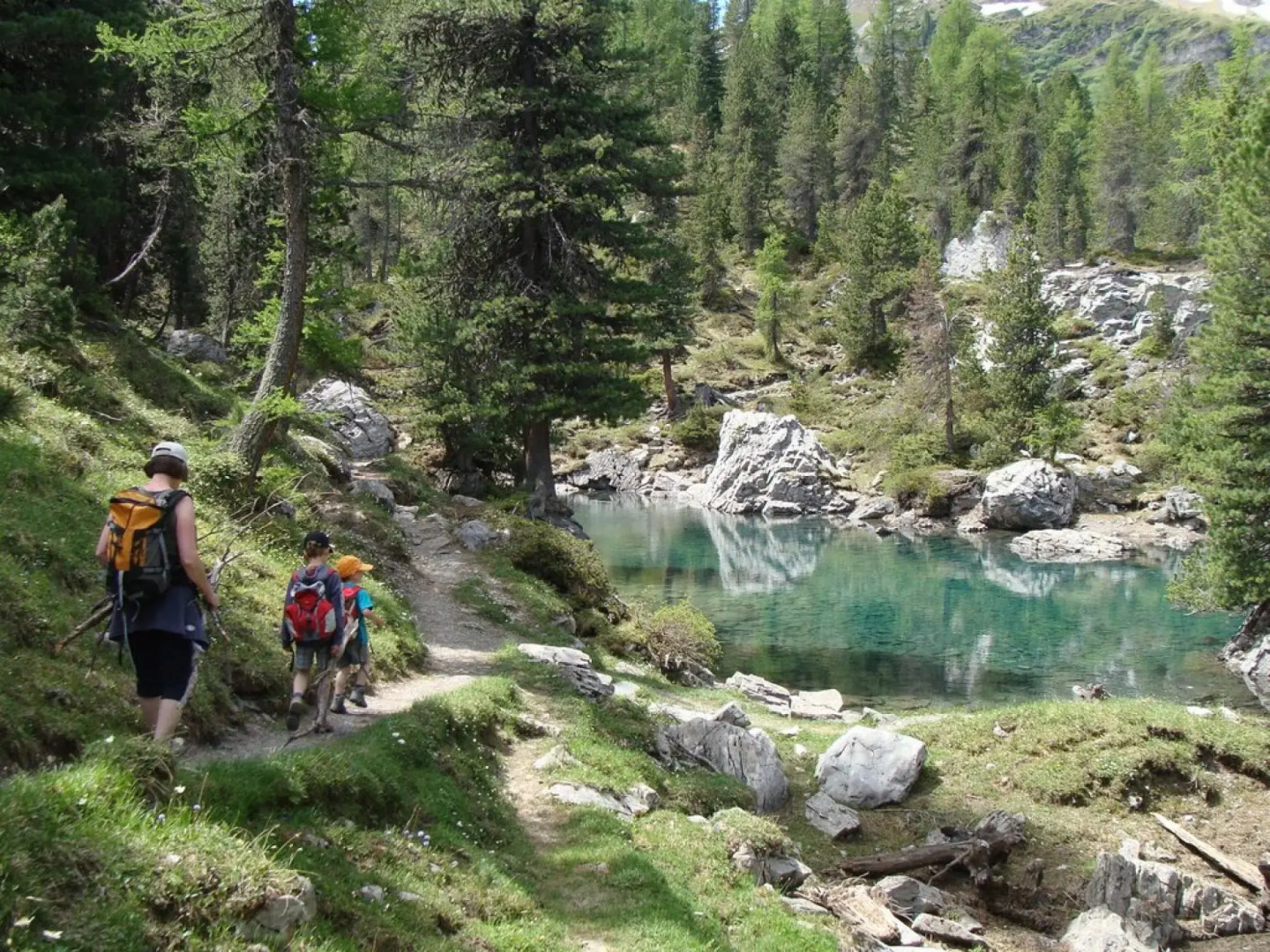 Luxury Chalet in Habkern with Private Garden