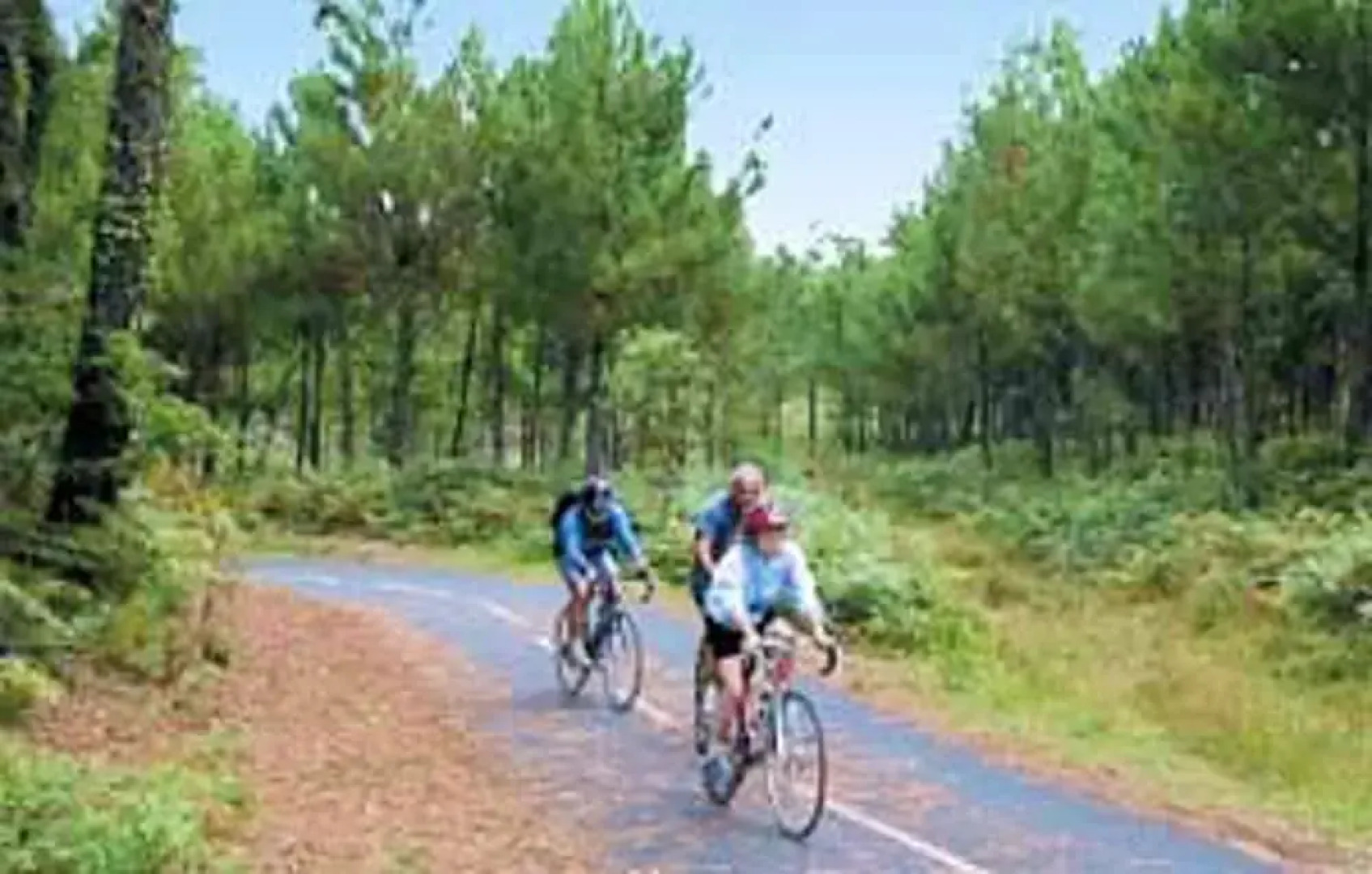 Studio In Vieux Boucau Les Bains With Shared Pool And Enclosed Garden 1 Km From The Beach