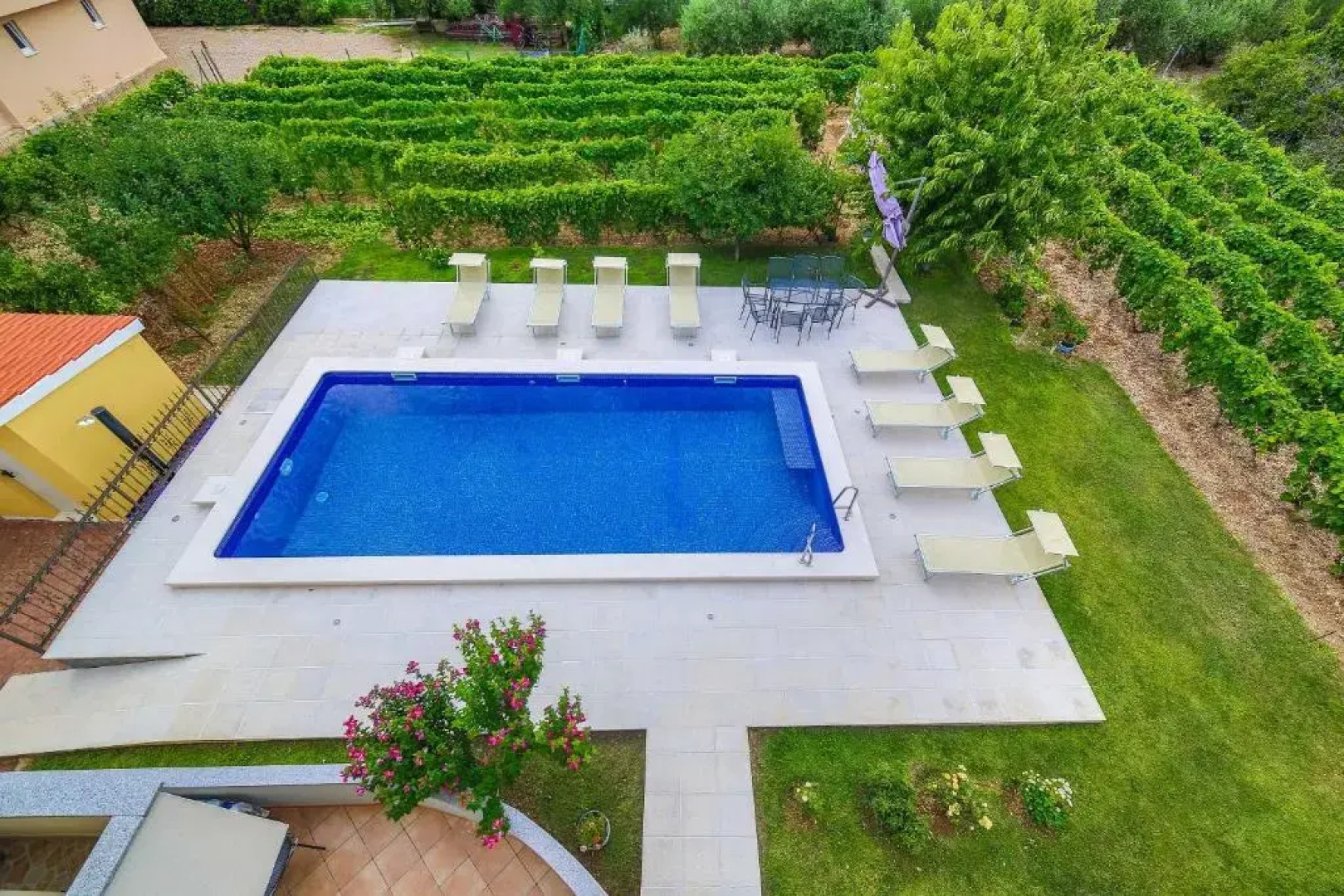 Apartments Villa Olivetum