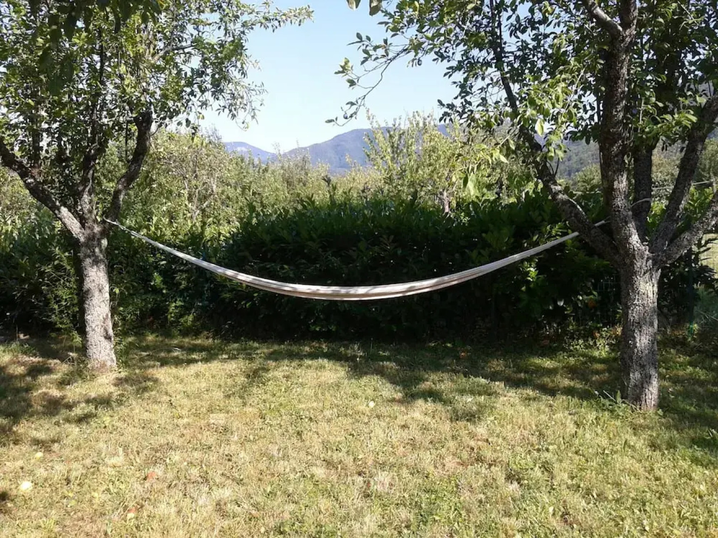 Peaceful Stay With Garden