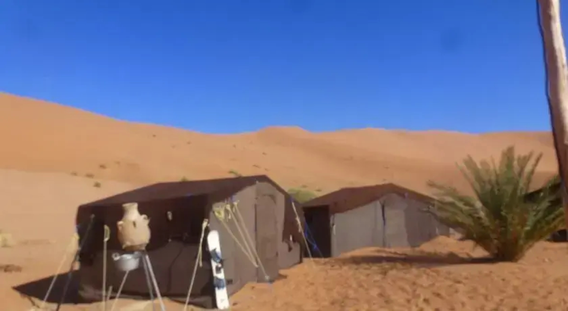 Oasis Camp