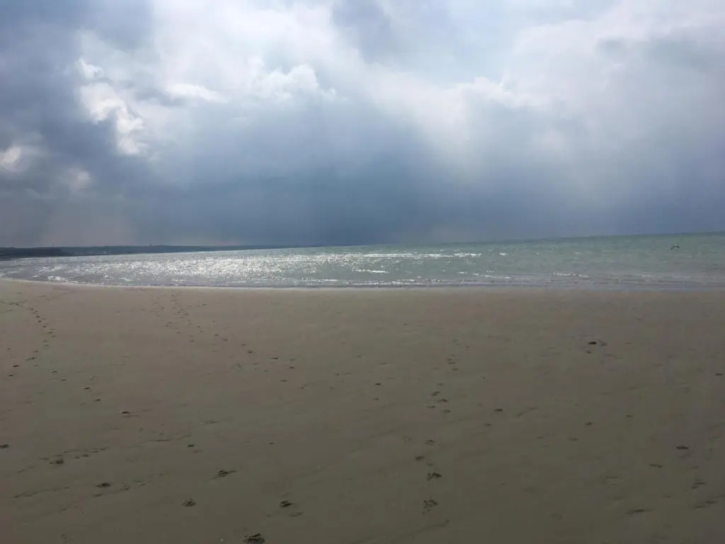 Face A La Mer , L Artiste