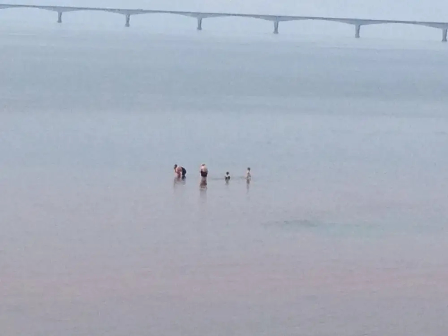 Amherst Cove Cottages