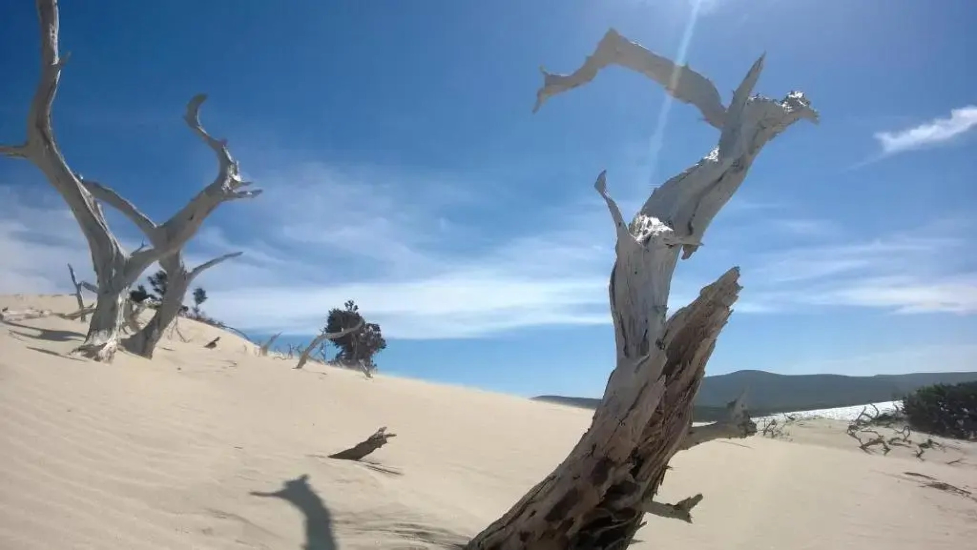 Villetta con giardino immersa nel verde a 150mt dal mare