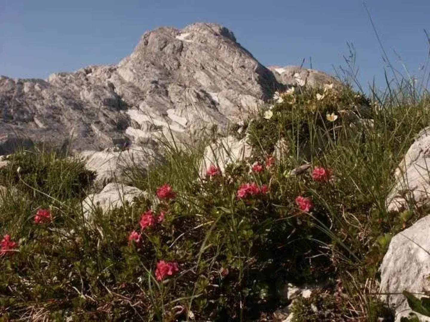 Gasthaus-Pension Seeklause
