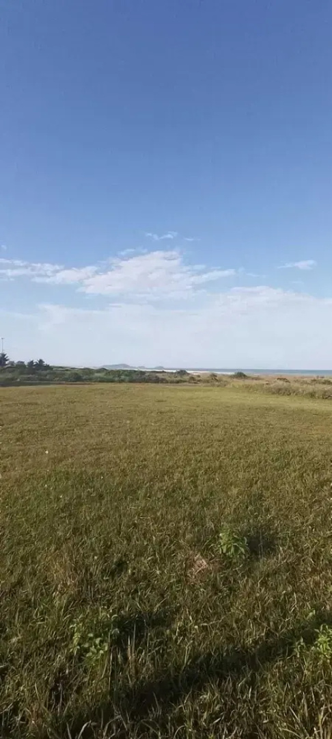 Paraíso do sul