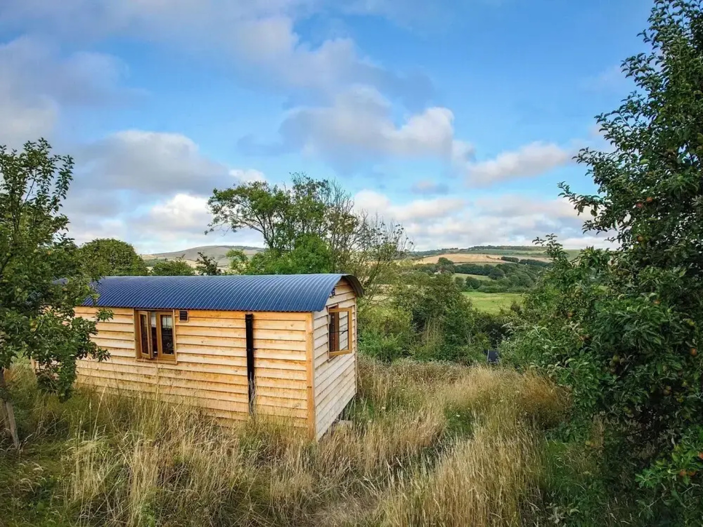 Woodpecker Hill - Apple Orchard in Alfriston
