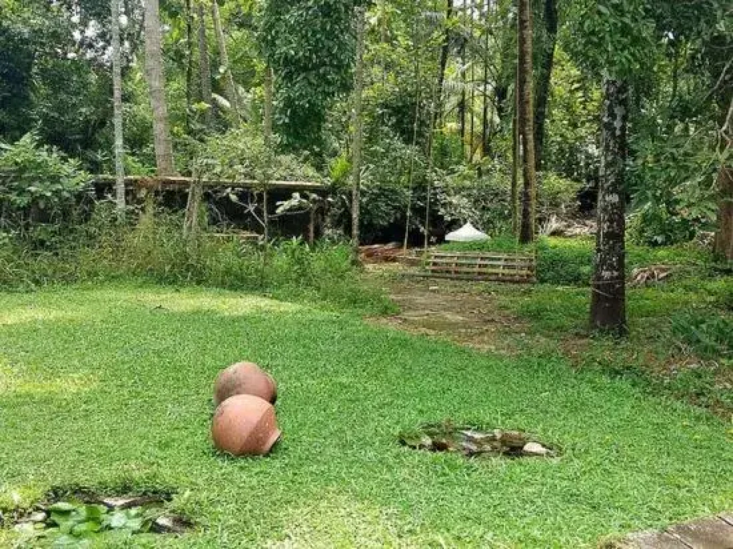 Raindrops Heritage Homestay