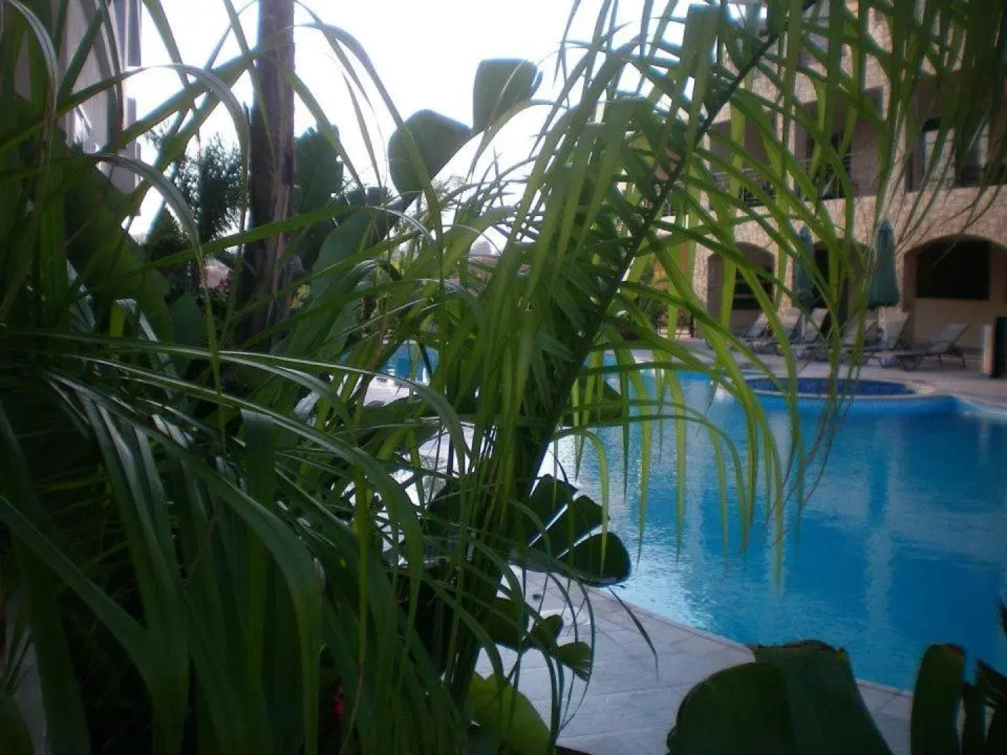 104 Excellent 2 bed apartment with pool view, AC & gym!