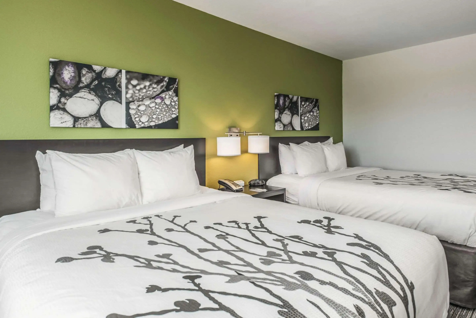 Sleep Inn & Suites