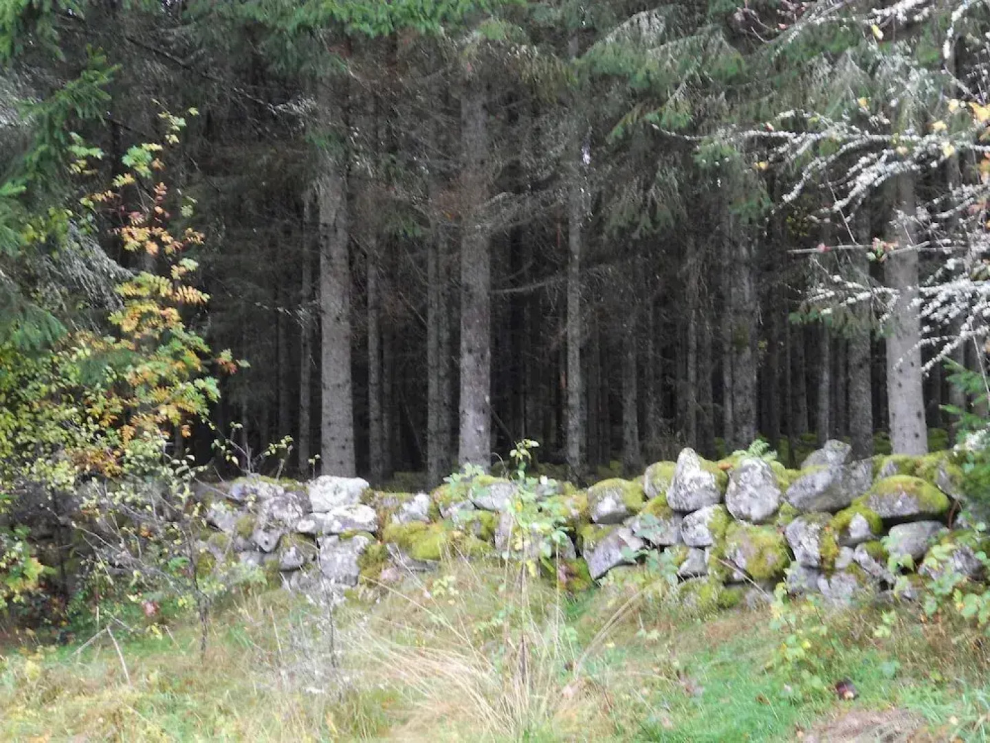 6 Person Holiday Home in Osby-by Traum