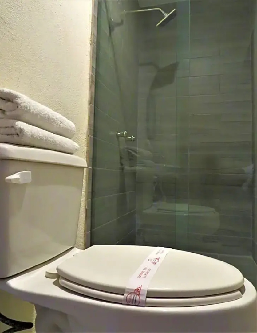 Hotel Purisima Concepcion