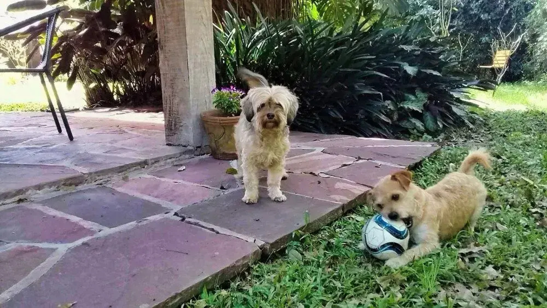 Terrazas Del Coya - Hostel