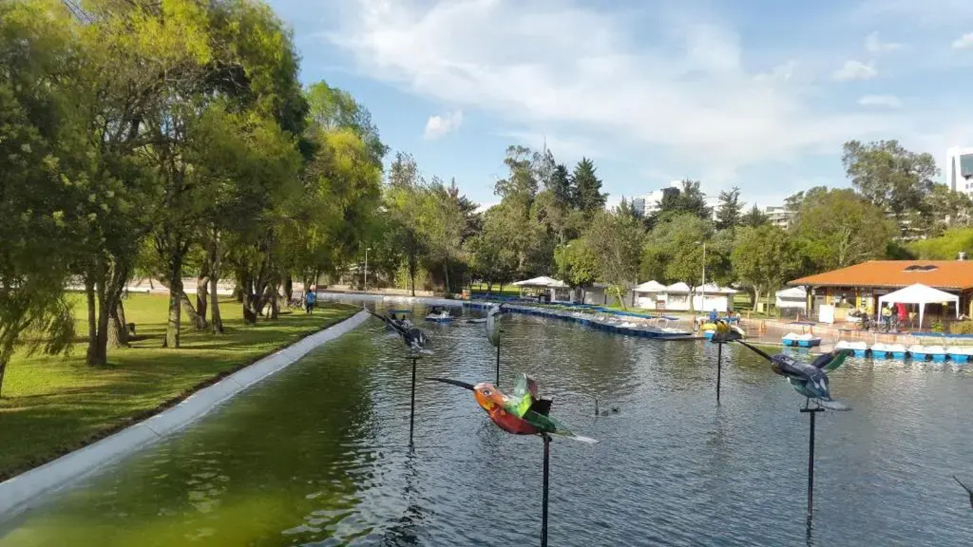 Naturalhome Apartment Edificio Italia