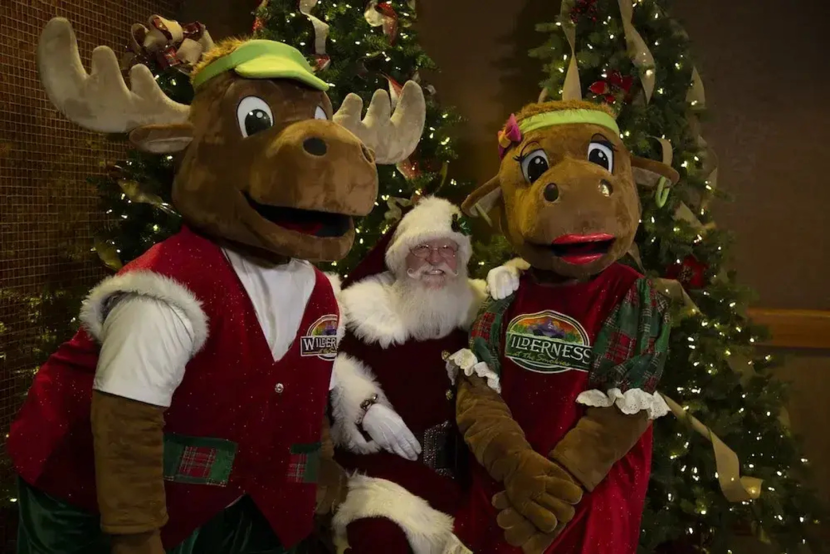 Wilderness at the Smokies - Stone Hill Lodge