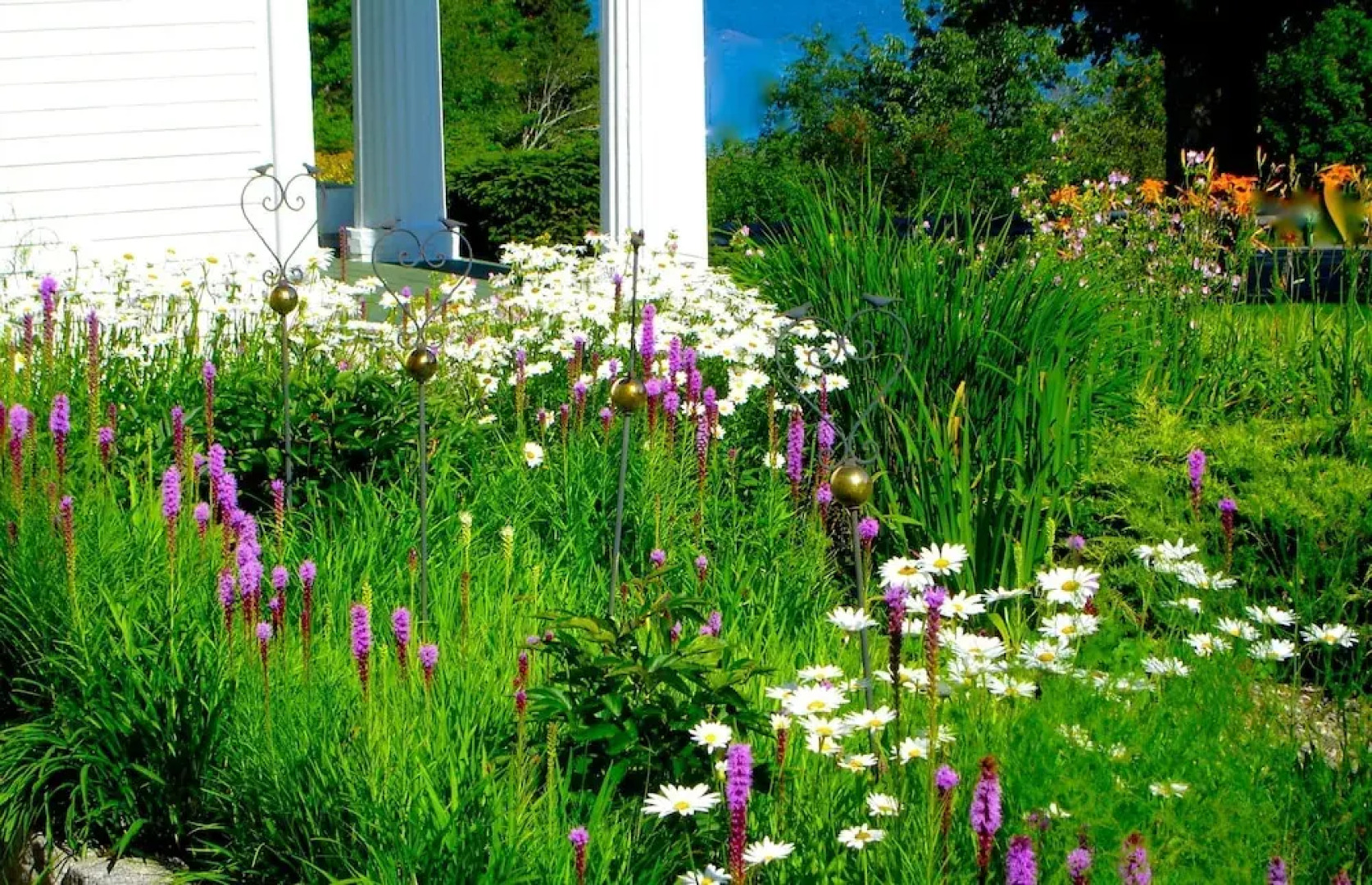 The Brewer House Bed and Breakfast