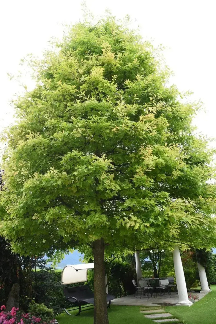 Relais Villa Quercia