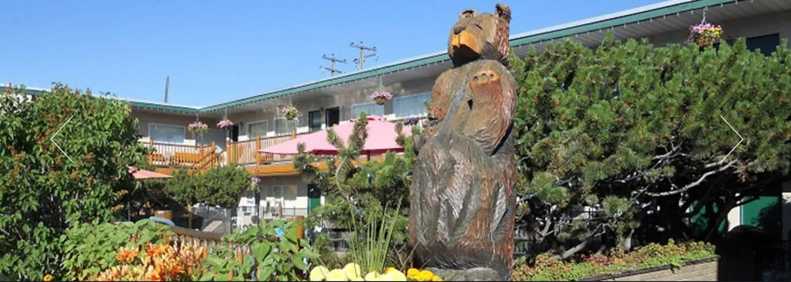Lazy Bear Lodge